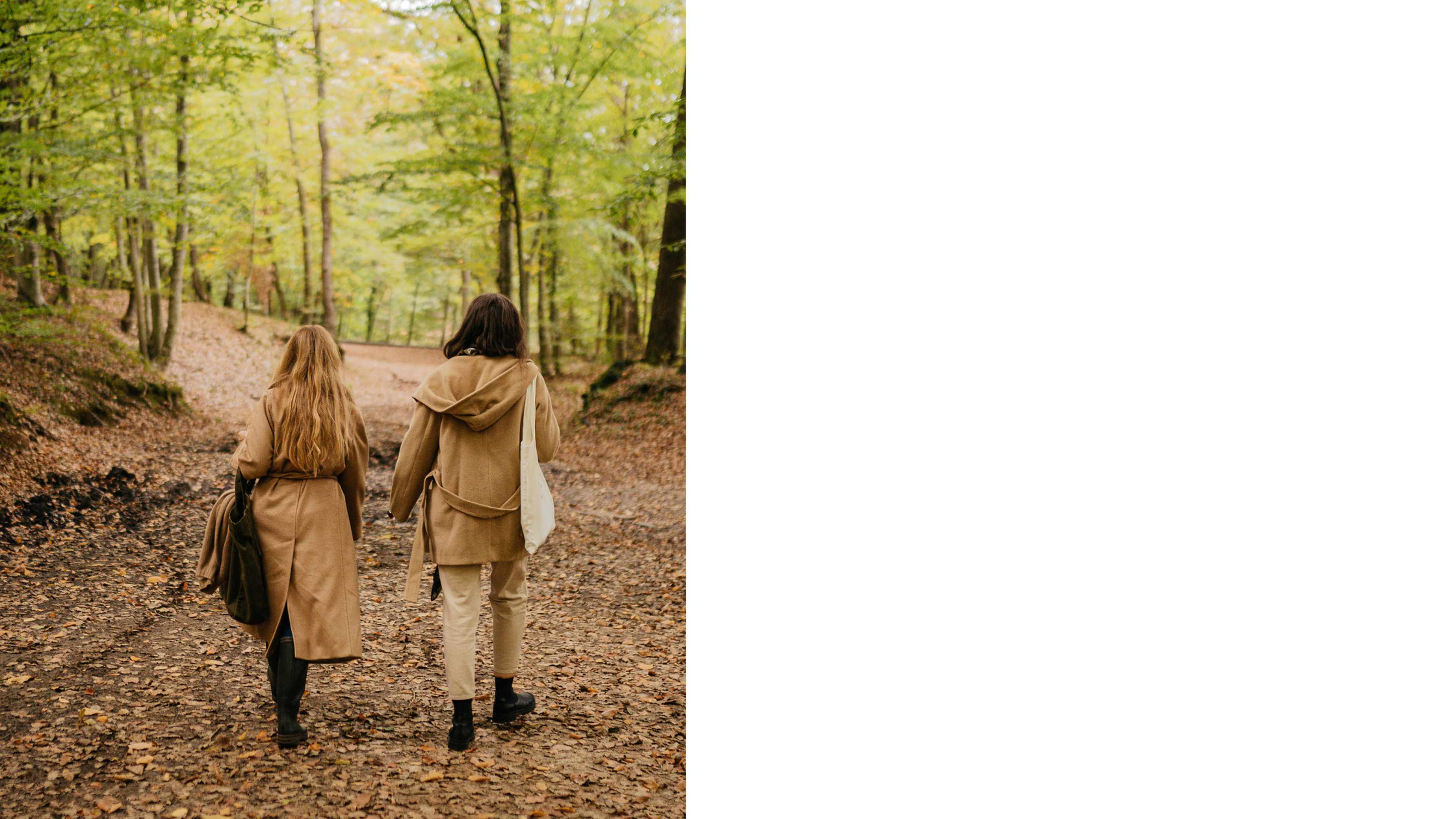 Foto vrouwen wandelen natuur